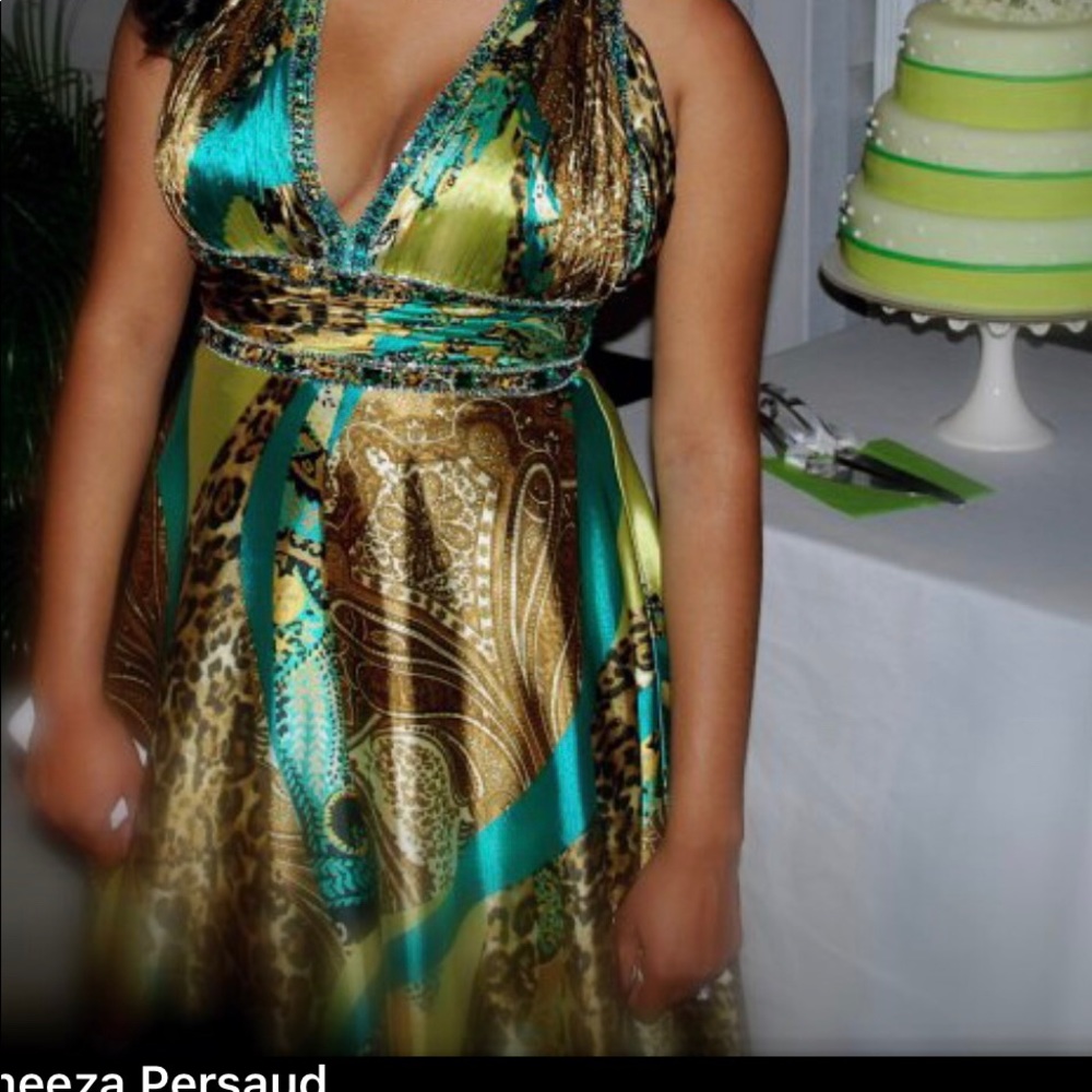 Tony bowls evening grown dress